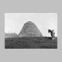 020-0074 Kapkeim. Stroh fuer den Winter.JPG